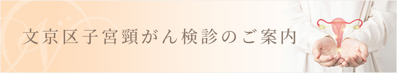 文京区子宮頸がん検診のご案内